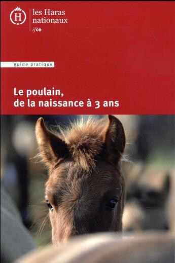 Couverture du livre « Le poulain, de la naissance à 3 ans » de  aux éditions Ifce