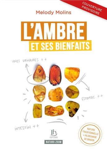 Couverture du livre « L'ambre et ses bienfaits : naturopathie classique et Hildegarde de Bingen » de Melody Molins aux éditions Ih
