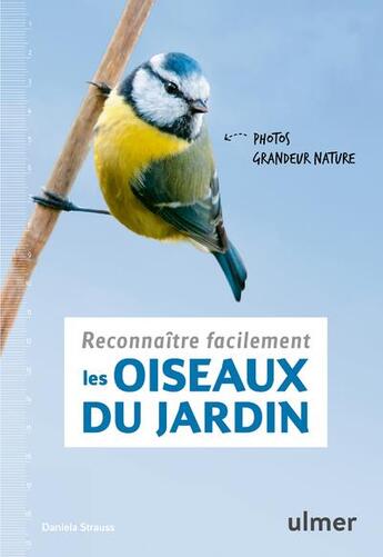 Couverture du livre « Reconnaître facilement les oiseaux du jardin ; photos grandeur nature » de Daniela Strauss aux éditions Eugen Ulmer