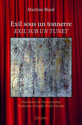 Couverture du livre « Exil sous un tonnerre » de Martine Biard aux éditions Edilivre