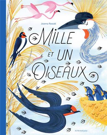 Couverture du livre « Mille et un oiseaux » de Joanna Rzezak aux éditions Actes Sud Junior