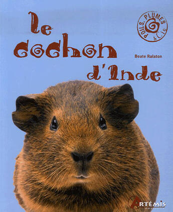 Couverture du livre « Le cochon d'inde » de Ralston Beate aux éditions Artemis