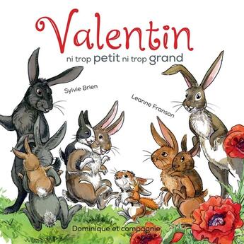 Couverture du livre « Valentin, ni trop petit ni trop grand » de Sylvie Brien aux éditions Dominique Et Compagnie