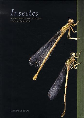 Couverture du livre « Insectes » de Leon Rogez et Paul Starosta aux éditions Chene