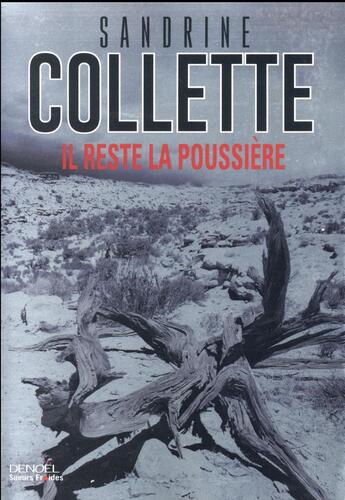 Couverture du livre « Il reste la poussière » de Sandrine Collette aux éditions Denoel
