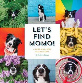 Couverture du livre « Let's find momo ! » de Andrew Knapp aux éditions Random House Us