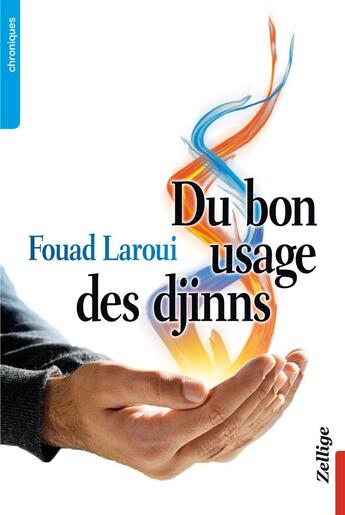 Couverture du livre « Du bon usage des djinns » de Fouad Laroui aux éditions Zellige