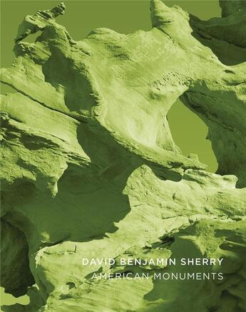 Couverture du livre « David benjamin sherry american monuments » de Sherry David Benjami aux éditions Radius Books