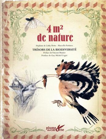Couverture du livre « 4m2 de nature » de Hette/Pettineo aux éditions Plume De Carotte