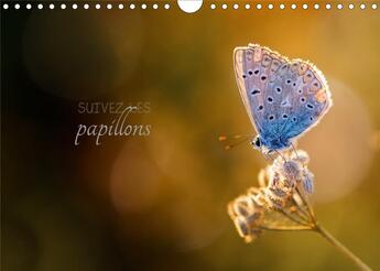 Couverture du livre « Suivez les papillons calendrier mural 2020 din a4 horizontal - calendrier photo sur le theme » de Cecile Gans aux éditions Calvendo