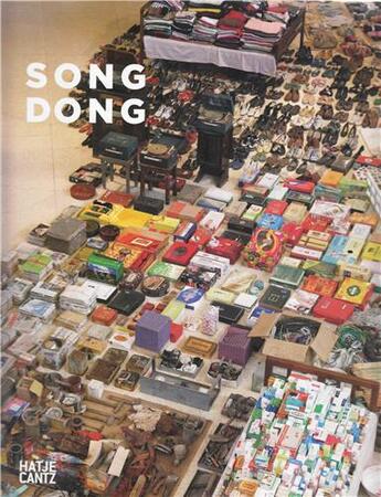 Couverture du livre « Song dong » de Boyi Feng aux éditions Hatje Cantz