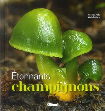 Couverture du livre « Étonnants champignons » de Alain Bellocq et Jaroslav Maly aux éditions Glenat