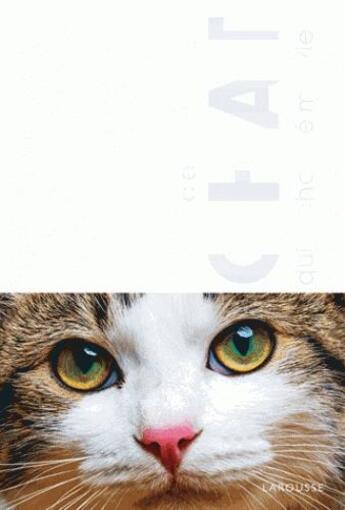 Couverture du livre « Le chat qui a changé ma vie (version à plier) » de Anne-Claire Gagnon aux éditions Dessain Et Tolra