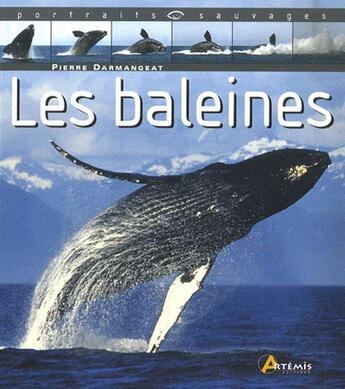 Couverture du livre « Les baleines » de Pierre Darmangeat aux éditions Artemis