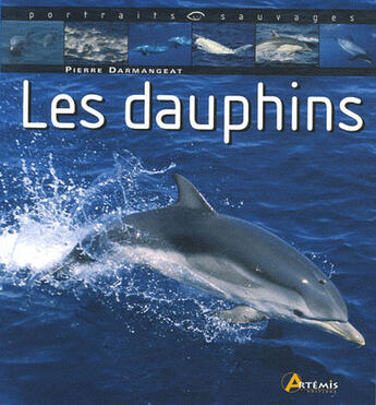 Couverture du livre « Les dauphins » de Pierre Darmangeat aux éditions Artemis