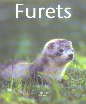 Couverture du livre « Furets » de Lutz Bartuschek aux éditions Hachette Pratique