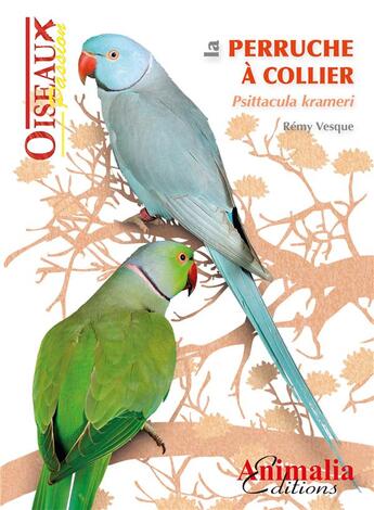 Couverture du livre « La perruche à collier ; psittacula krameri » de Remy Vesque aux éditions Animalia