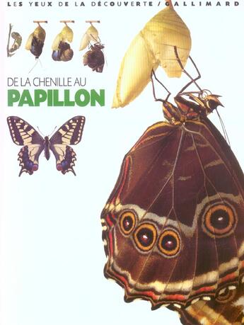 Couverture du livre « DE LA CHENILLE AU PAPILLON » de Paul Whalley aux éditions Gallimard-jeunesse