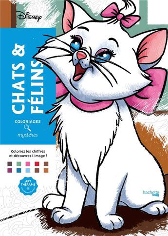 Couverture du livre « Chats & félins » de Jeremy Mariez aux éditions Hachette Pratique
