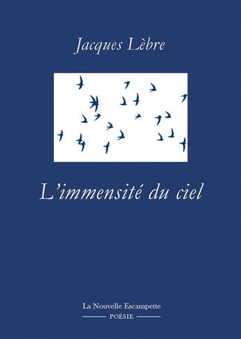 Couverture du livre « L'immensité du ciel » de Jacques Lebre aux éditions Escampette