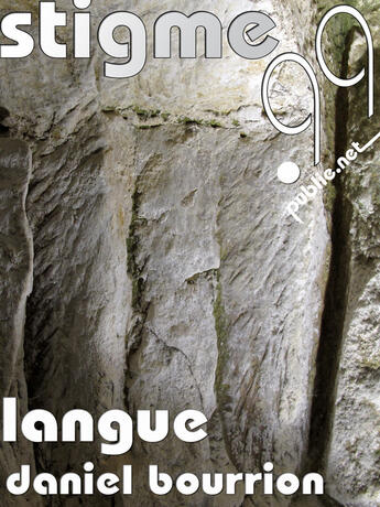 Couverture du livre « Langue » de Daniel Bourrion aux éditions Publie.net