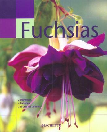 Couverture du livre « Main Verte : Fuchsias » de David Clark aux éditions Hachette Pratique