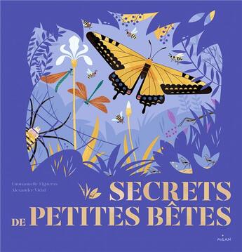 Couverture du livre « Secrets de petites bêtes » de Emmanuelle Figueras et Alexander Vidal aux éditions Milan