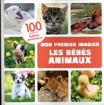 Couverture du livre « Les bébés animaux » de Irena Aubert aux éditions Philippe Auzou