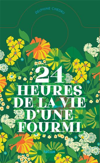 Couverture du livre « 24 heures de la vie d'une fourmi : un livre-horloge » de Delphine Chedru aux éditions Helium