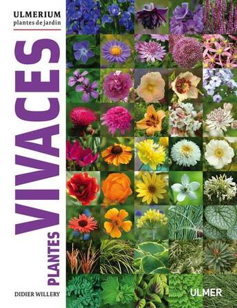 Couverture du livre « Plantes vivaces » de Didier Willery aux éditions Eugen Ulmer