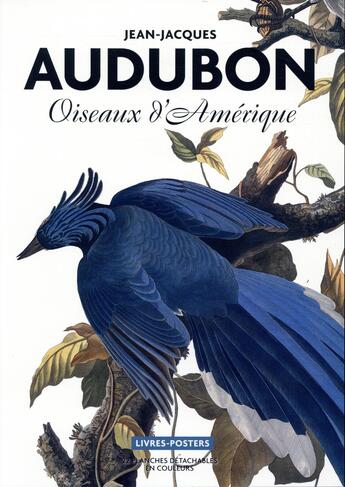 Couverture du livre « Oiseaux d'Amérique » de John-James Audubon aux éditions Bnf Editions