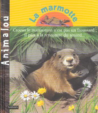 Couverture du livre « La Marmotte » de Patricia Holl aux éditions Nathan