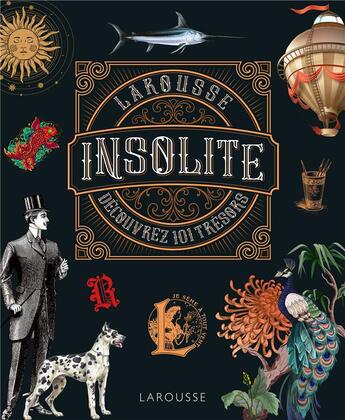 Couverture du livre « L'insolite » de  aux éditions Larousse