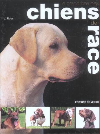 Couverture du livre « Grand livre des chiens de race (le) » de Rossi aux éditions De Vecchi