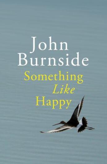 Couverture du livre « Something Like Happy » de John Burnside aux éditions Random House Digital