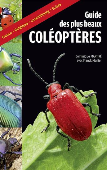 Couverture du livre « Guide des plus beaux coléoptères » de Dominique Martire et Franck Merlier aux éditions Belin