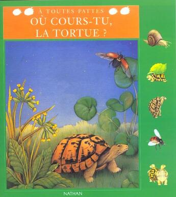 Couverture du livre « Ou cours tu tortue » de Chottin/Wirth aux éditions Nathan