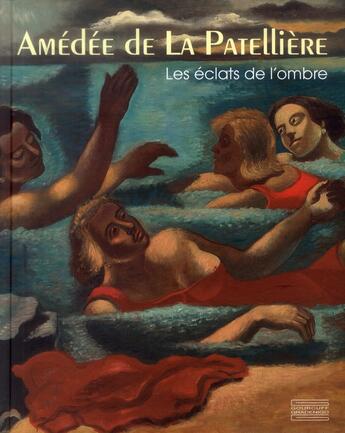 Couverture du livre « Amédée de La Patellière ; les éclats de l'ombre » de  aux éditions Gourcuff Gradenigo