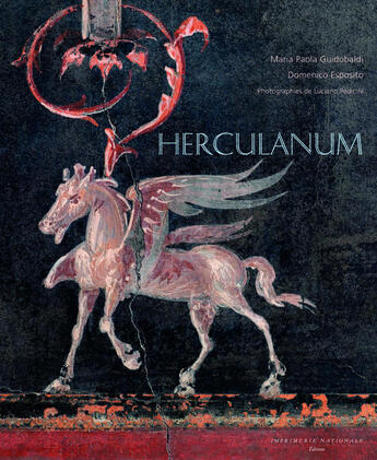 Couverture du livre « Herculanum » de Maria Paola Guidobaldi et Domenico Esposito et Luciano Pedicini aux éditions Actes Sud