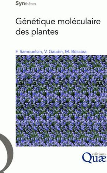 Couverture du livre « Génétique moléculaire des plantes » de Frank Samouelian et Valerie Gaudin et Martine Boccara aux éditions Quae