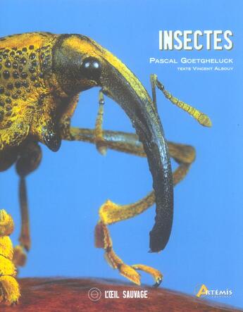 Couverture du livre « Insectes » de Pascal Goetgheluck aux éditions Artemis