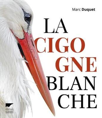 Couverture du livre « La cigogne blanche » de Marc Duquet aux éditions Delachaux & Niestle