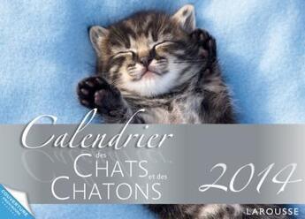 Couverture du livre « Calendrier des chats et des chatons 2014 » de Jean Cuvelier aux éditions Larousse