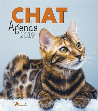 Couverture du livre « Agenda chat (édition 2019) » de  aux éditions Artemis