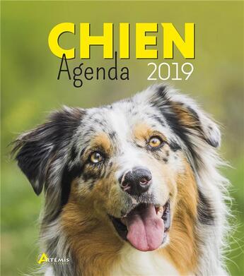 Couverture du livre « Agenda chien (édition 2019) » de  aux éditions Artemis