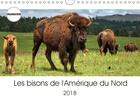 Couverture du livre « Les bisons de l amerique du nord calendrier mural 2018 din a4 horizontal » de Wilczek D aux éditions Calvendo