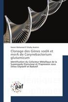 Couverture du livre « Clonage des genes soda et msra de corynebacterium glutamicum » de El Shafey Ibrahim-H aux éditions Presses Academiques Francophones