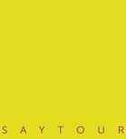 Couverture du livre « Saytour » de Champey/Bonnet aux éditions Iac Editions D'art