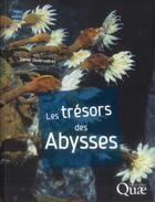 Couverture du livre « Les trésors des abysses ; désert stérile ou Eldorado ? » de Daniel Desbruyeres aux éditions Quae