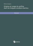 Couverture du livre « Origine et usage du préfixe dans les langues soudano-bantou » de Patrice Amayina aux éditions Publibook